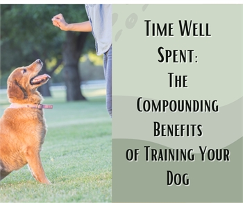 Time Well Spent:The Compounding Benefits of Training Your Dog
