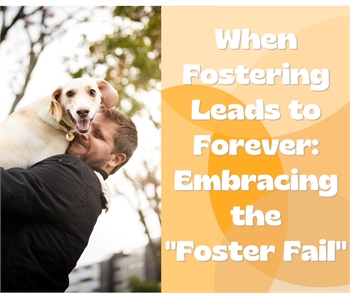 When Fostering Leads to Forever: Embracing the "Foster Fail"