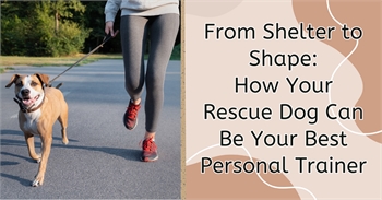 From Shelter to Shape: How Your Rescue Dog Can Be Your Best Personal Trainer
